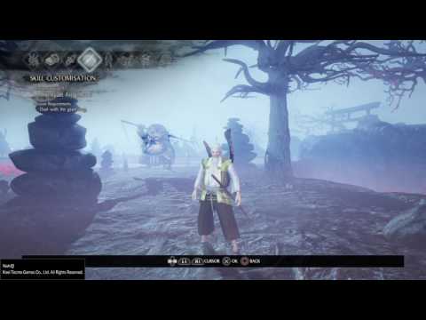 Nioh - OP Endgame Build