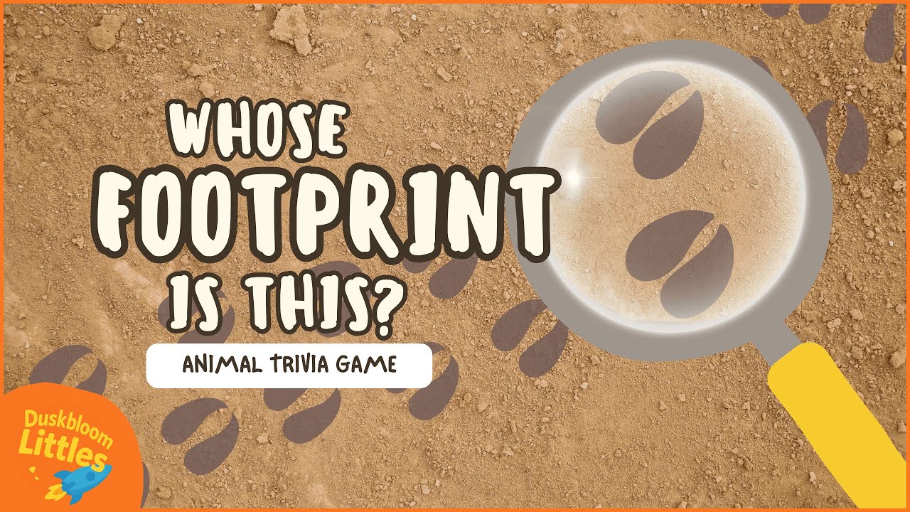 Whose Footprint is This?