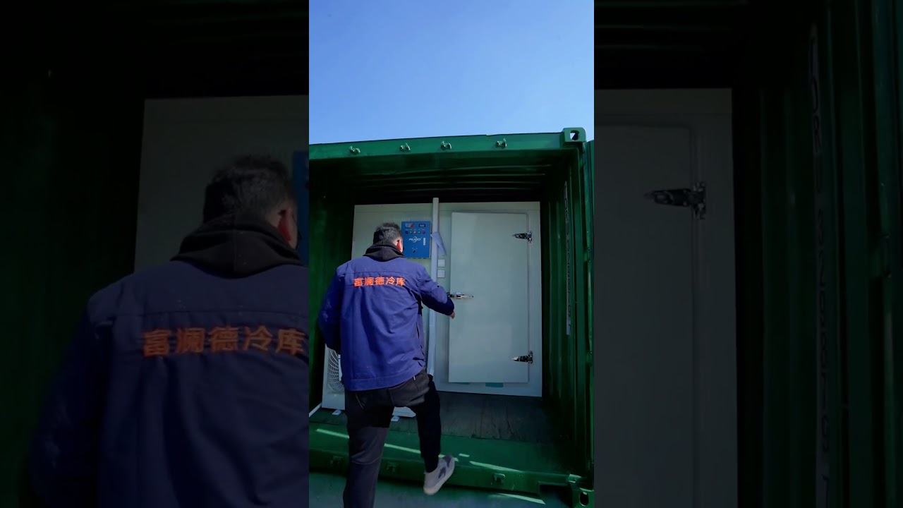 20ft container cold room for meat, fish, fruits, vegetables. Chiller/Cooler, Freezer, Blast freezer