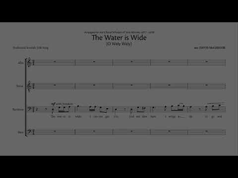David McGregor - The Water is Wide (O Waly Waly)