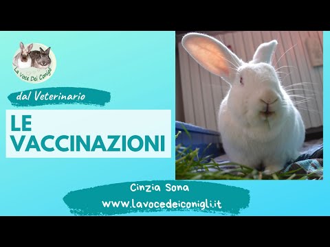, title : 'Le vaccinazioni del coniglio'