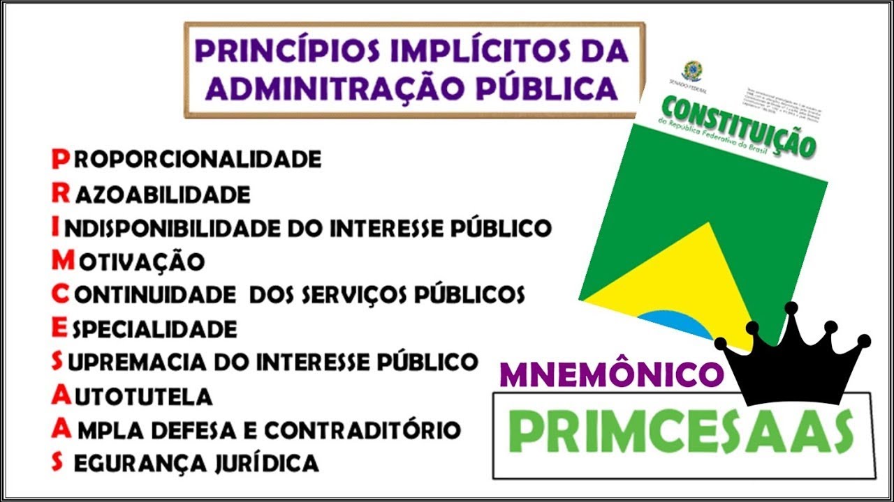 Princípios IMPLÍCITOS da ADMINISTRAÇÃO PÚBLICA『PRIMCESAAS』 CF 🇧🇷║Direito Administrativo║Animação