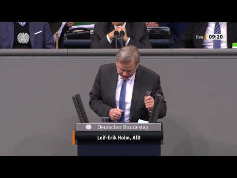 Leif-Erik Holm - Rede vom 28.01.2021 - Jahreswirtschaftsbericht 2021