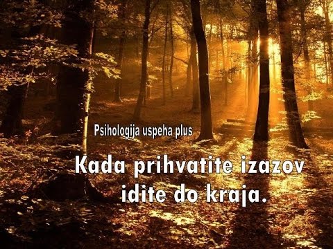 Psihologija uspeha plus - Motivacija