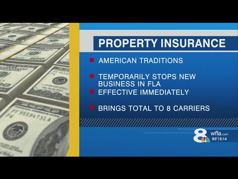 8th property insurance company pauses new business in Florida