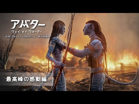 最高峰の感動編 予告編（字幕版）