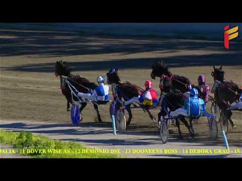 II Corsa del 18 Febbraio 2022 - 3 Anni - Metri 1600