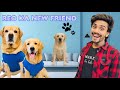 Reo Ka New Friend Ladai Hogyi Reo Ki Anant Rastogi