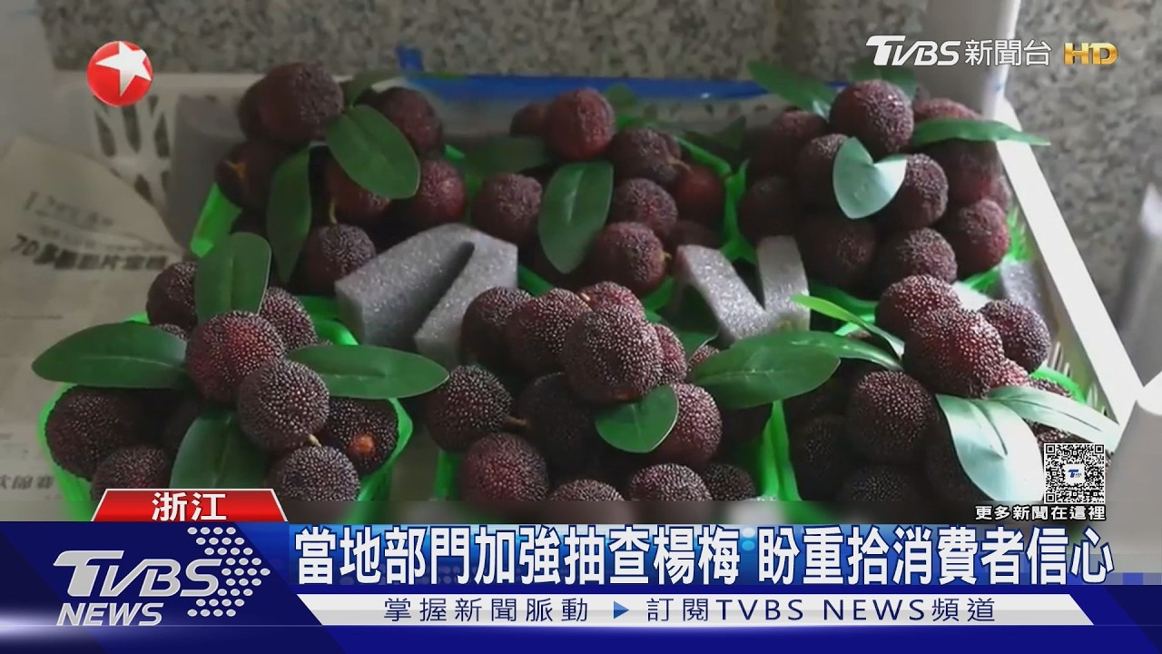 影音/漳州「泡藥楊梅」風波延燒!5業者被捕 陸銷量暴跌果農跪求