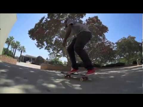 Nike sb Chronicles vol 2 Theotis Beasly