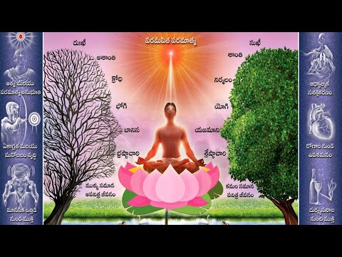 Chithamu Nilupu Nee Brukuti Lo - Song Telugu👌| Brahma kumaris