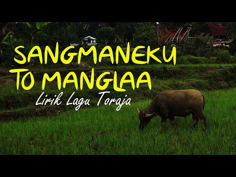 Sangmaneku To Manglaa (Lirik) | Lagu Daerah Toraja Populer