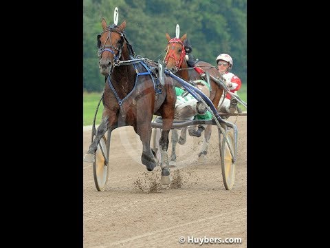 Derbywinnaar Davy Boko voorspelt de Derby J