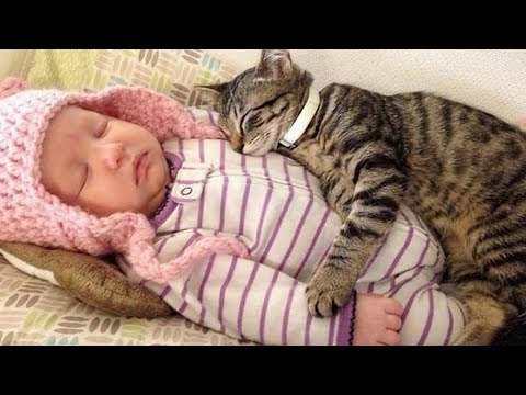 Cats Become the Sweetest Babysitters ❤️ Cute Cat Reaction Ever!