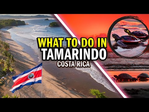 BEST Things to do in TAMARINDO, Costa Rica! - TRAVEL GUIDE [4K|11.ai]