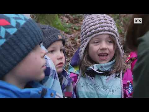 La forêt pour école - Bande annonce