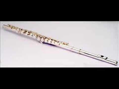 Barcode Brothers - Flute (DJ Digress remix)