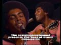 Gilberto Gil - O Rouxinol