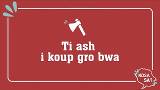 Kiltir Live #2 : Kosa sa : Ti ash i koup gro bwa