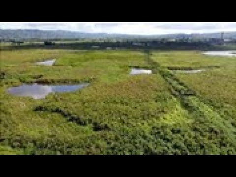 Lot 3 Asomante WD Aguada, Puerto Rico 00602