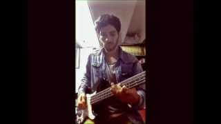 You Won&#39;t Be Fooled by This - Albert Hammond Jr. (Bass cover)