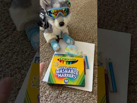 make patches with me! (not og idea) #essa #essacommunity #esa #diy #dogs #customgear #supportgear