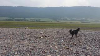 Porlock Marshes on Flood Tide -Nature Film