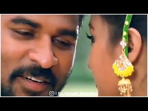 💕Manja Kaattu💕 Maina Ennai 💕| Tamil WhatsApp Status | Prabu Deva