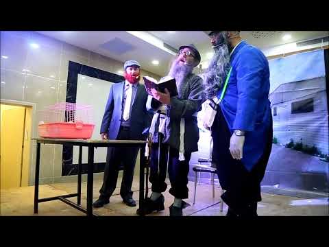 Purim 5778 In Kosov Viznitz