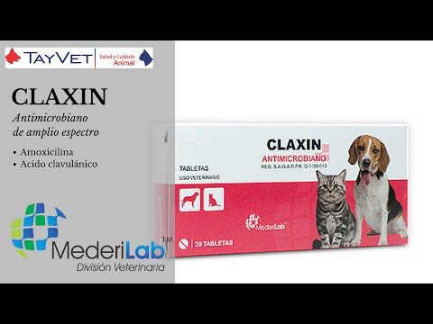 download lagu mp3 mp4 Claxin, download mp3 Claxin free downloadn, video klip Claxin