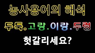 [텃밭농부.912]  두둑,고랑,이랑,두렁 헷갈리는 농사용어 해석
