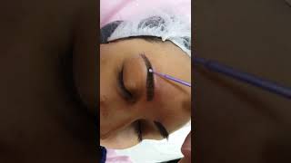Dark Skin Eyebrows Permanent Makeup Hairstrokes by El Truchan @ Perfect Definition