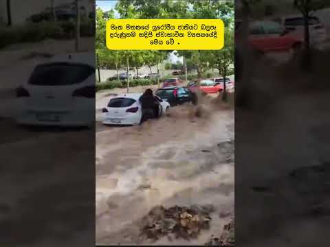 ස්පාඤ්ඤයේ  මාරාන්තික ගංවතුරකින් 214 මිය යයි. දහස් ගනනක් අවතැන්. #thedailysinhala #sinhalanews #spain