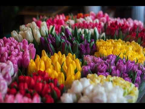 1 SAAT HƏZİN MUSİQİ QƏMLİ MUSİQİ GECƏ AĞLAMALI MUSİQİ MAHNI 1 HOUR OF SAD MUSİC GÖZƏL MAHNILAR#edit