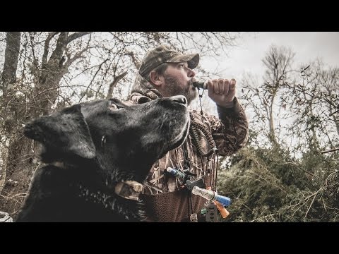 A Man, His Dog, and a Duck Hunting Hole - Fowled Reality