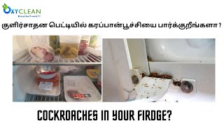 cockroach in the fridge #cockroach #fridge #pestcontrol #poochisathiya #oxyclean