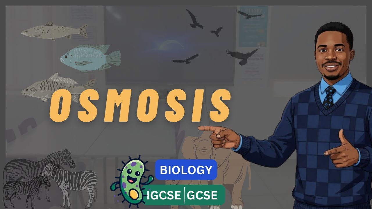 OSMOSIS FOR IGCSE AND GCSE