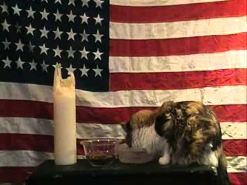 MAC DEMARCO - MARILYN AND ME