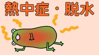 [Registered Dietitian] Lecture on heat stroke and dehydration