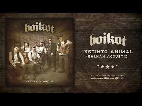 BOIKOT "Instinto Animal" (Audiosingle)