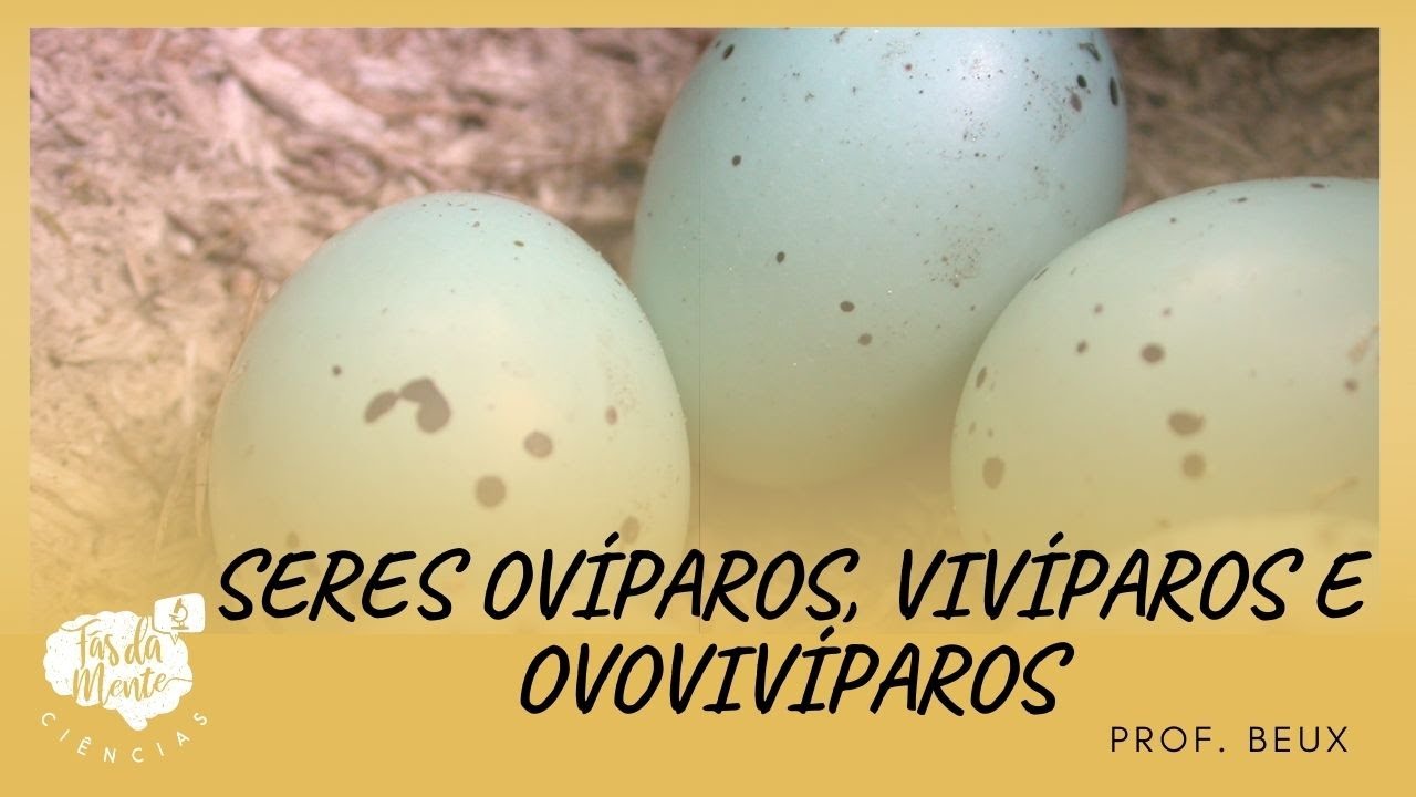 REPRODUÇÃO SEXUADA - seres ovíparos, vivíparos e ovovivíparos