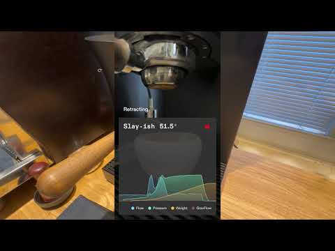 Meticulous, Slayer shot, super light roast