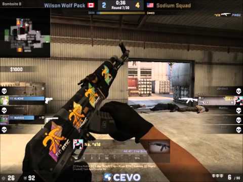 [CEVO-IM Season 8]  ^s1d 1v5 Anti Eco - Sodium Squad vs Wilson Wolf Pack