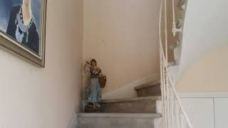 Miniature de la vidéo