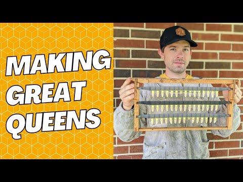 ⚡The Best Tools to Make GREAT Queens