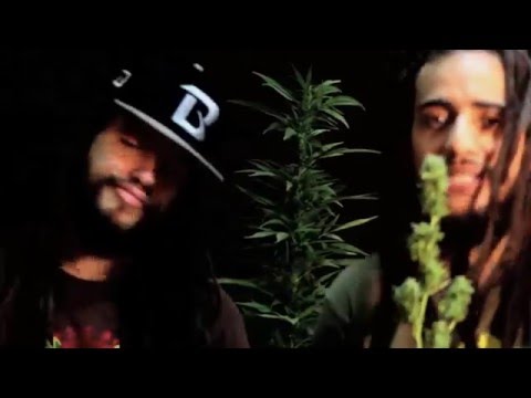 Armalo - Dr  Norrys Ft  Ras Neftali - Inity Proyect