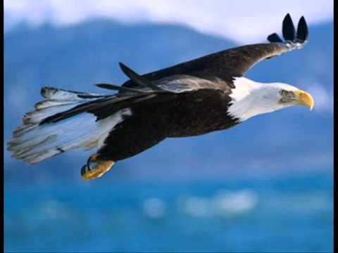 Planeta Sonho - 14 Bis