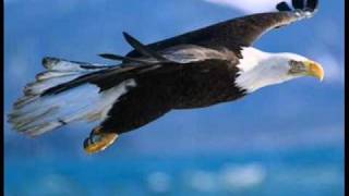 Planeta Sonho - 14 Bis