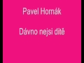 Dávno nejsi dítě - Pavel Horňák