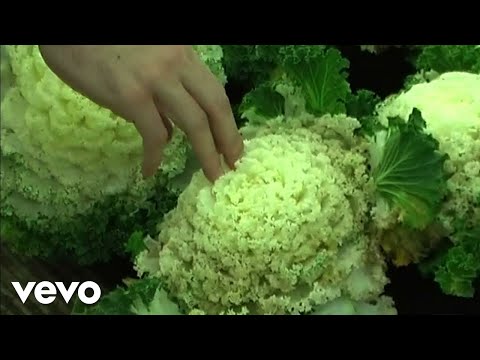 Chavales - Las Plantas De La Terraza